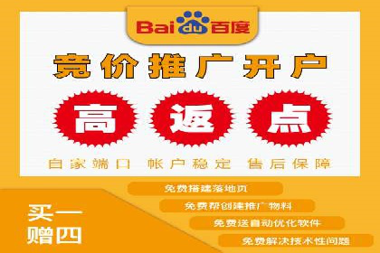 百度推广在电商行业的应用及效果